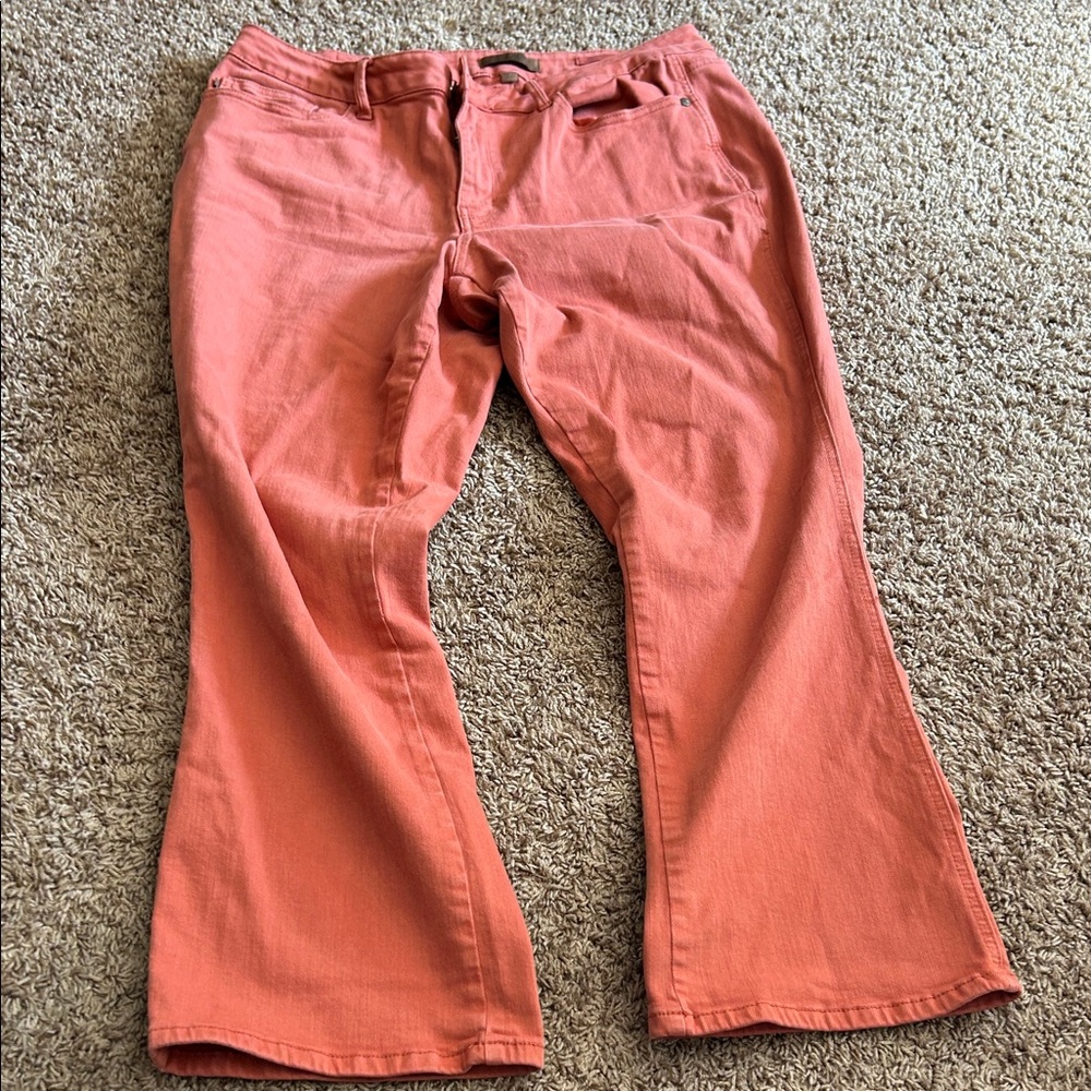 Judy Blue Coral Denim Pants